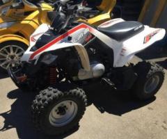 CAN-AM ds 250