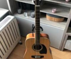 Ibanez 12 String Acoustic Guitar