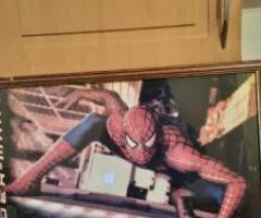 Spiderman poster