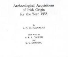 Archaeological Acquisitions of Irish Origin for the year …