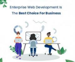Enterprise Web Development Is The Best Choice For Business
