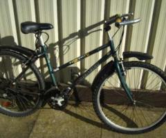 Ladies Bike