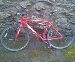 Motion Nucleaus red color Mens 21 Gear Hybrid Bike