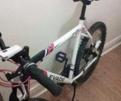 Apollo Evade mountain bike