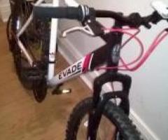 mountain bike Apollo evade mens 20 inch frame