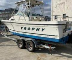 Power BaylinerTrophy 2052 for sale