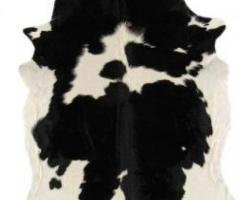 Sheepskin & Cowhide Rugs An Instant Game-Changer for Renters!