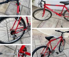 RALEIGH BIKE - EXCELLENT CONDITION