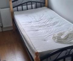 Beautiful room FREE for sweet girl in City